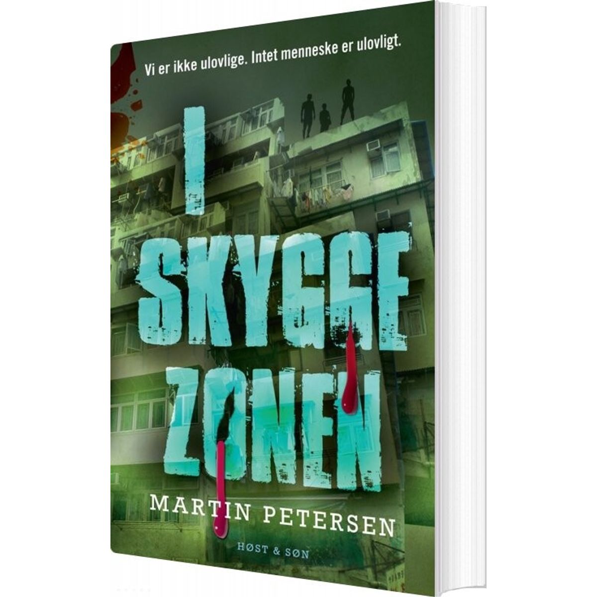 I Skyggezonen - Martin Petersen - Bog