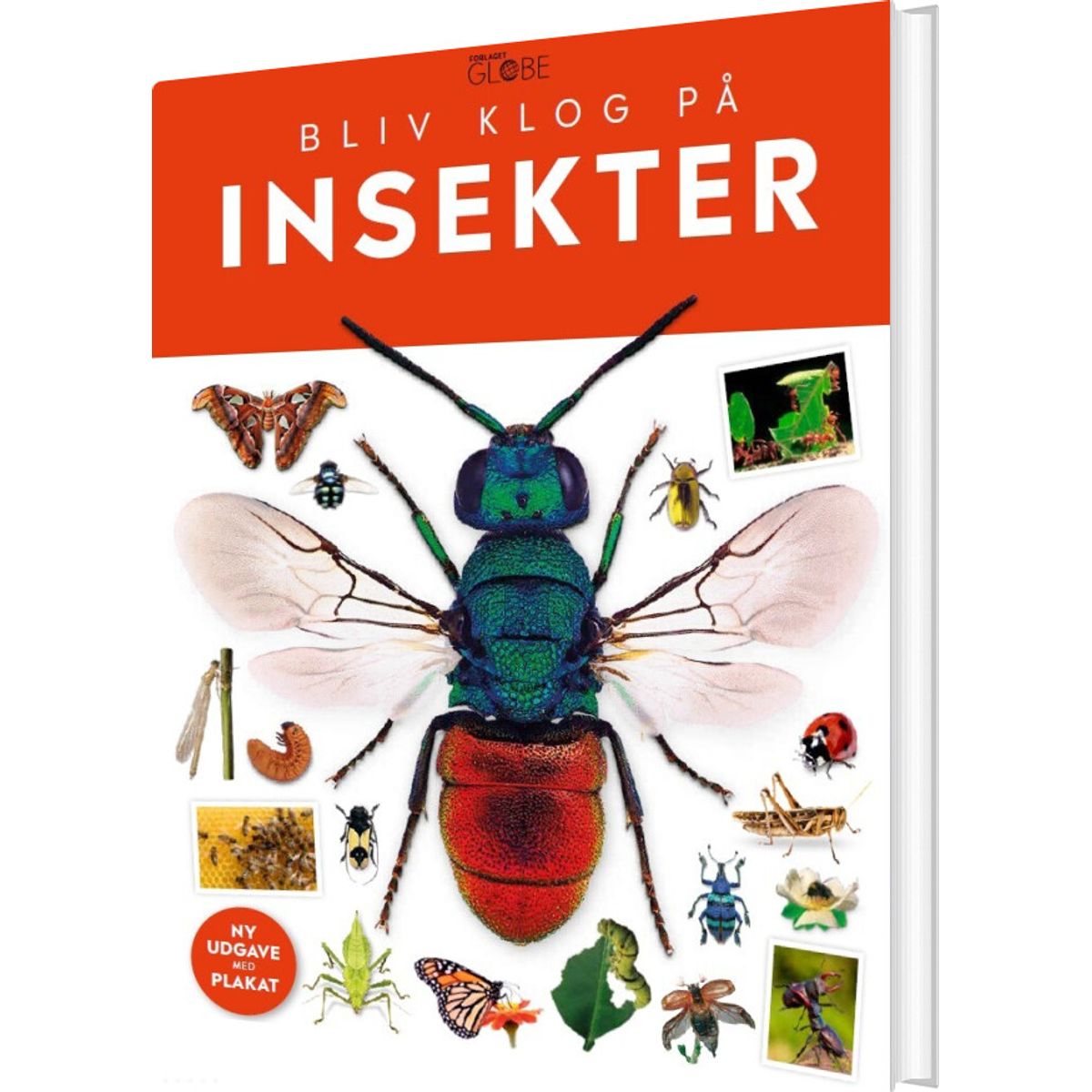 Insekter - Bog