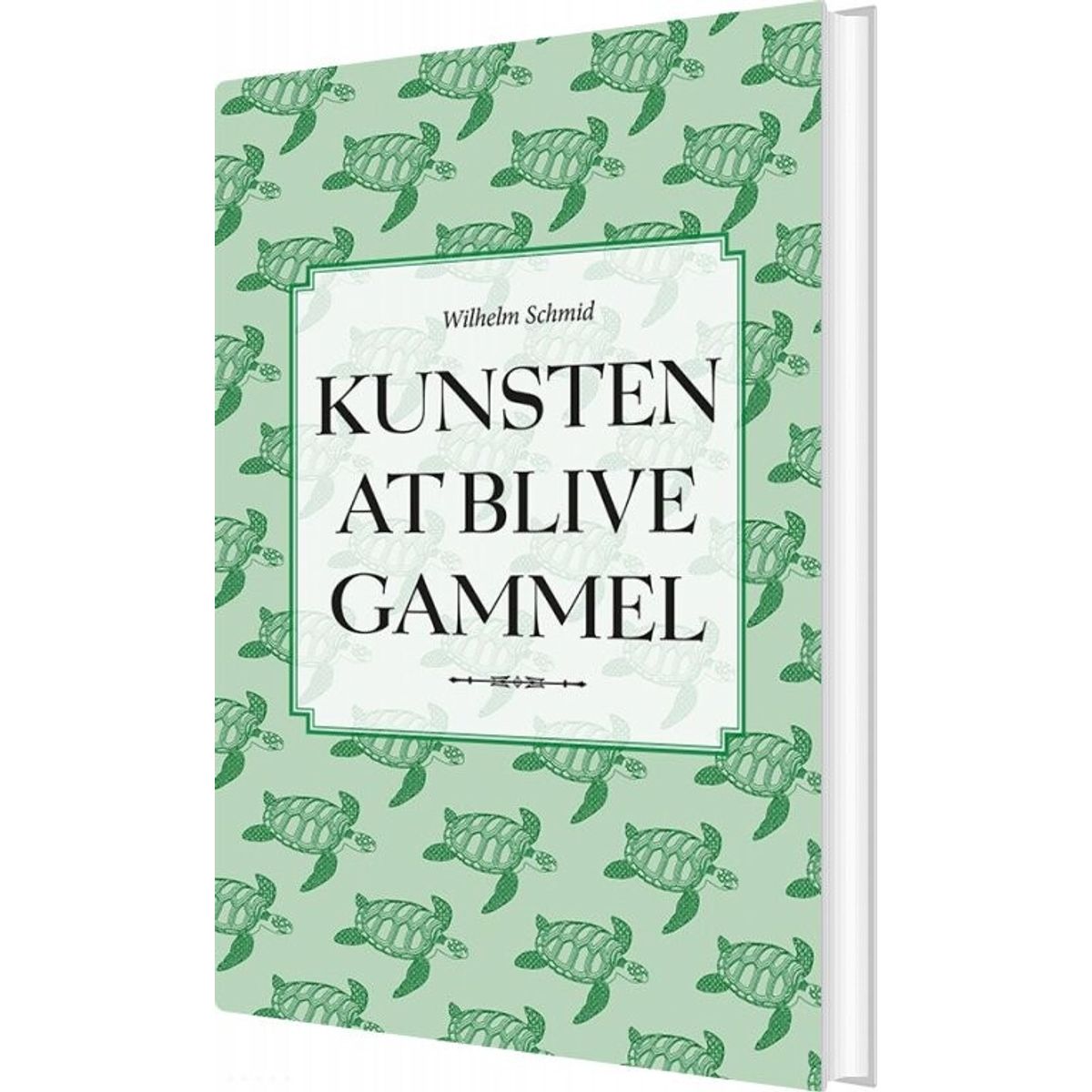 Kunsten At Blive Gammel - Wilhelm Schmid - Bog