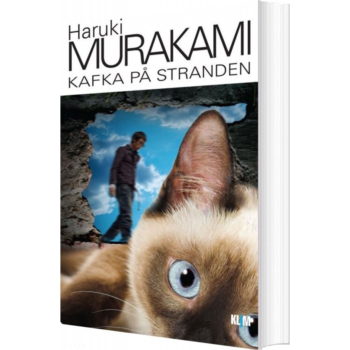 Kafka På Stranden - Haruki Murakami - Bog