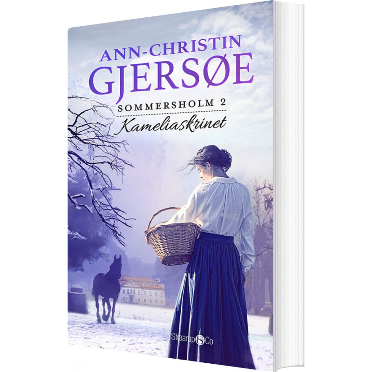 Kameliaskrinet - Ann-christin Gjersøe - Bog