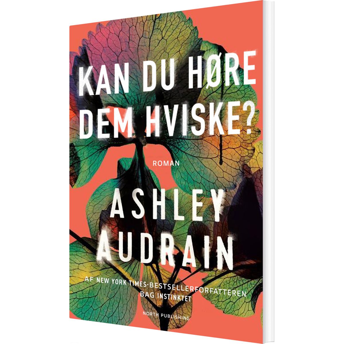 Kan Du Høre Dem Hviske? - Ashley Audrain - Bog