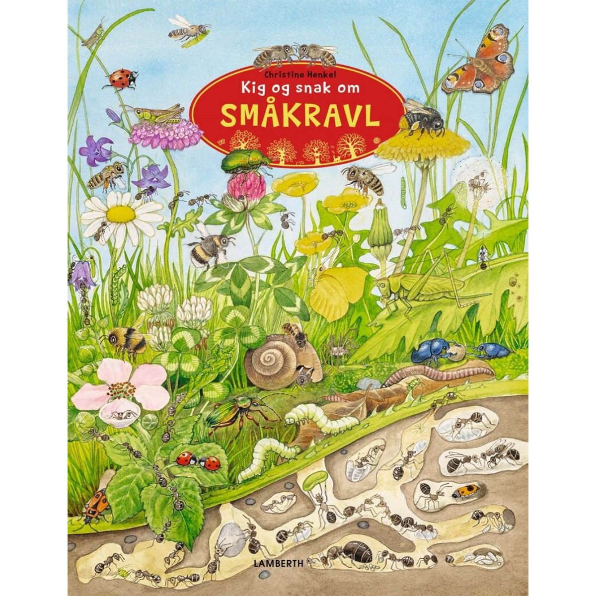 Kig Og Snak Om Småkravl - Christine Henkel - Bog