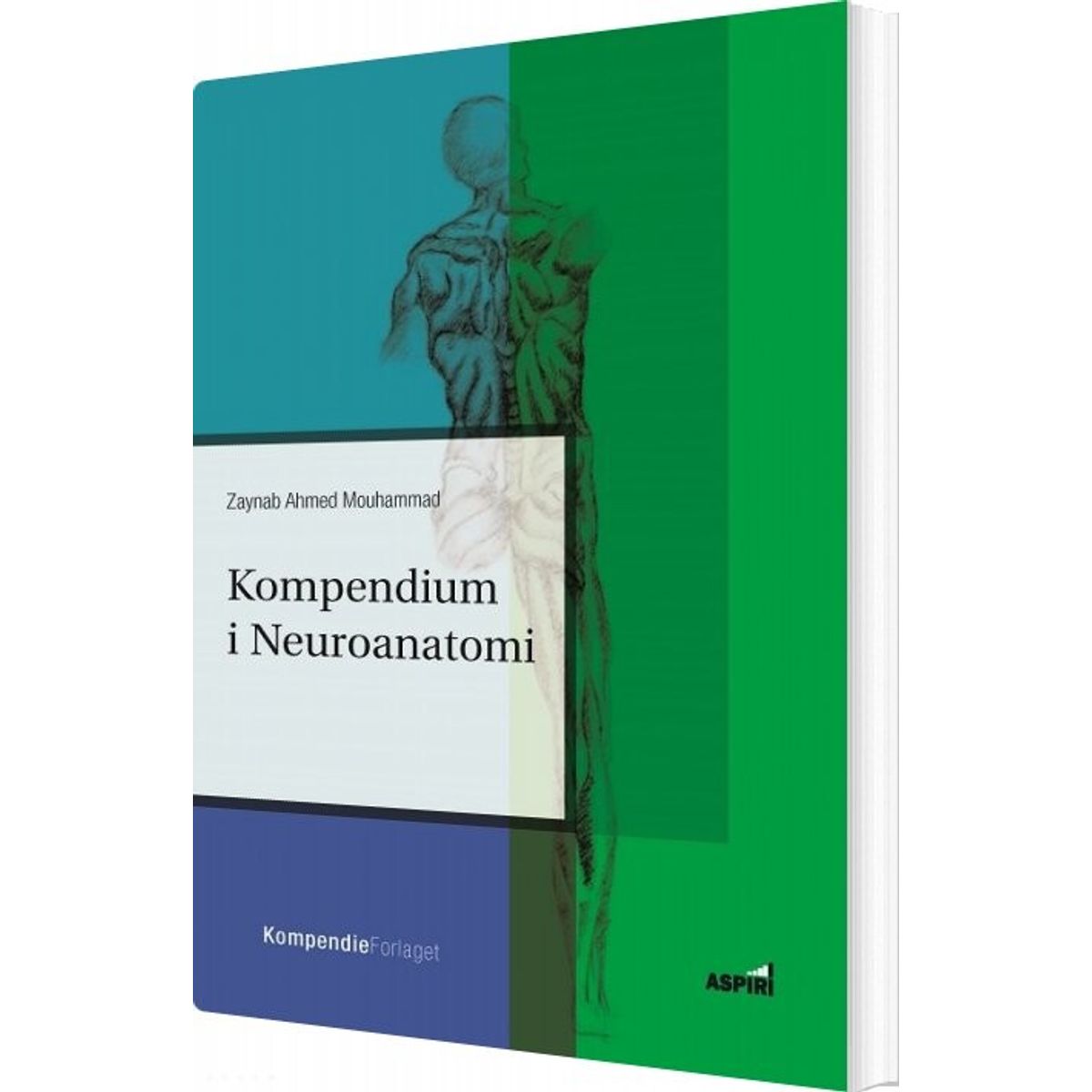 Kompendium I Neuroanatomi - Zaynab Ahmad - Bog