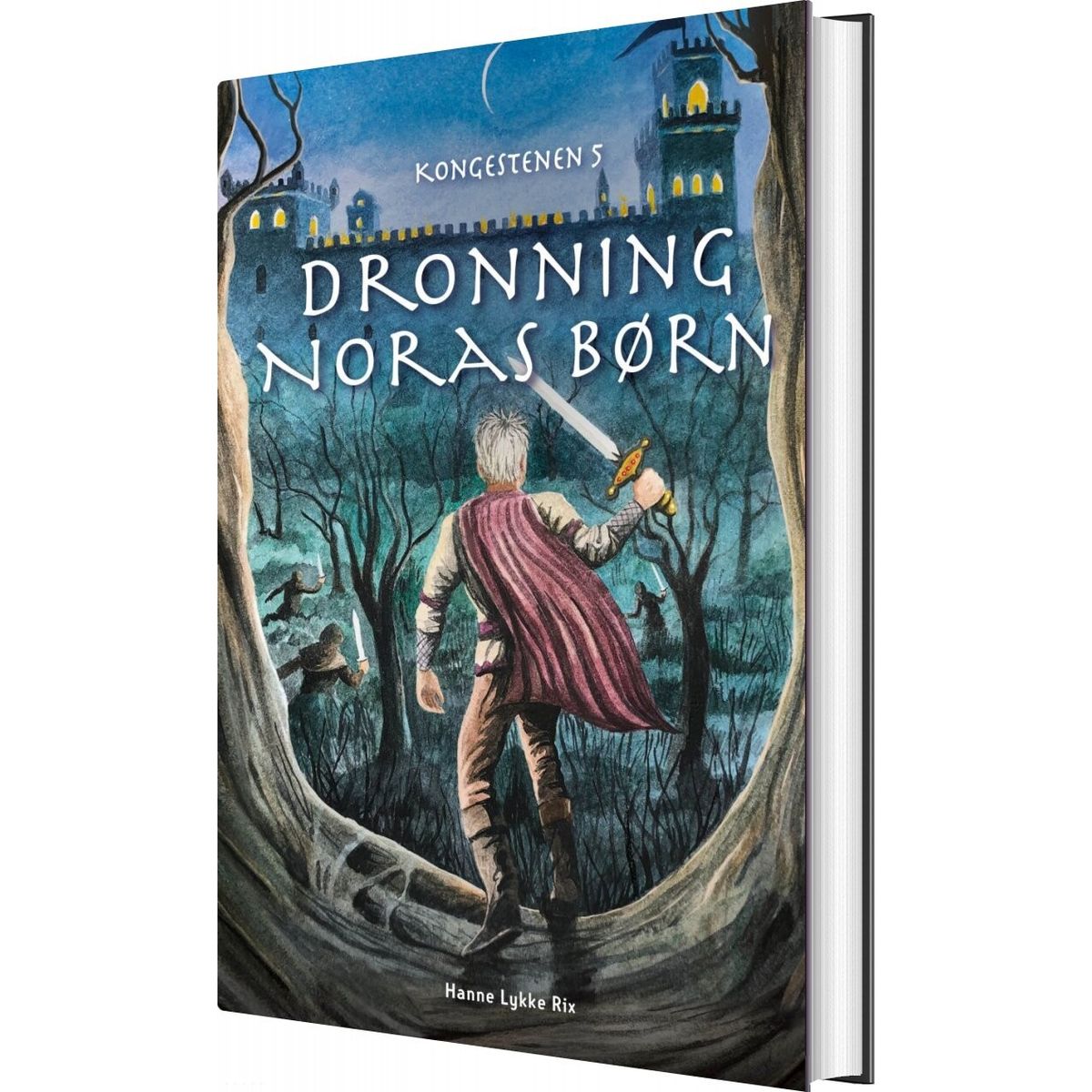 Dronning Noras Børn - Hanne Lykke Rix - Bog