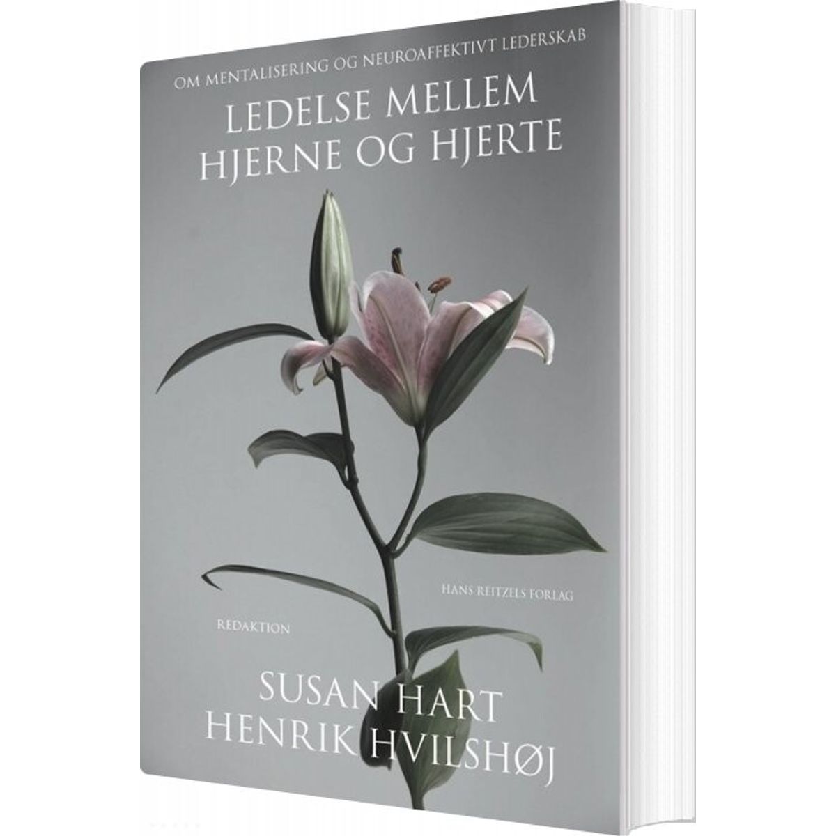 Ledelse Mellem Hjerne Og Hjerte - Henrik Dahl - Bog