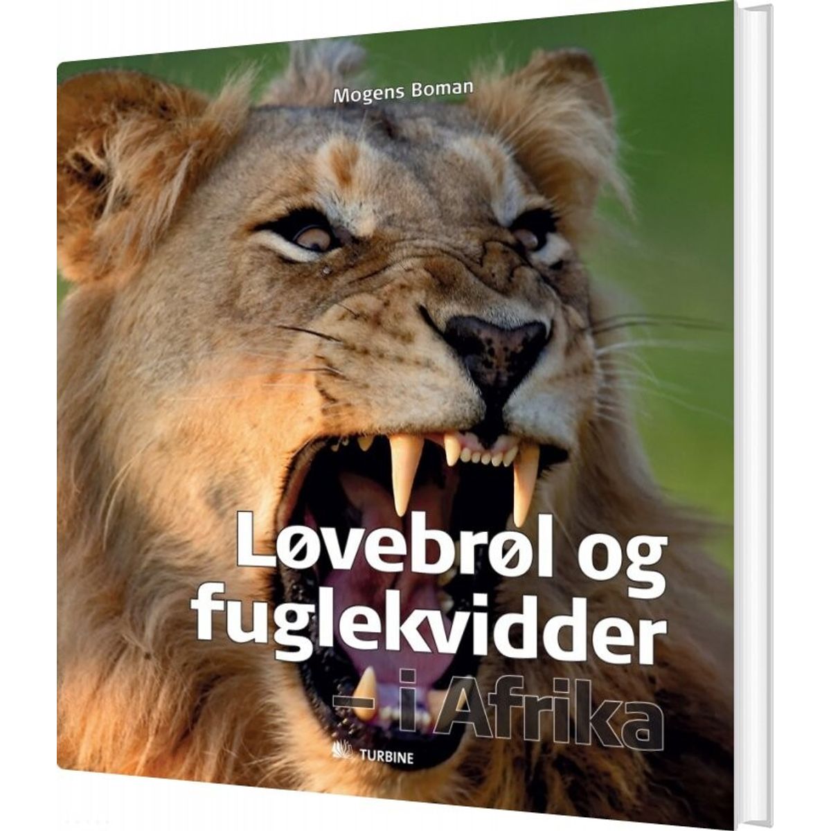 Løvebrøl Og Fuglekvidder - I Afrika - Mogens Boman - Bog