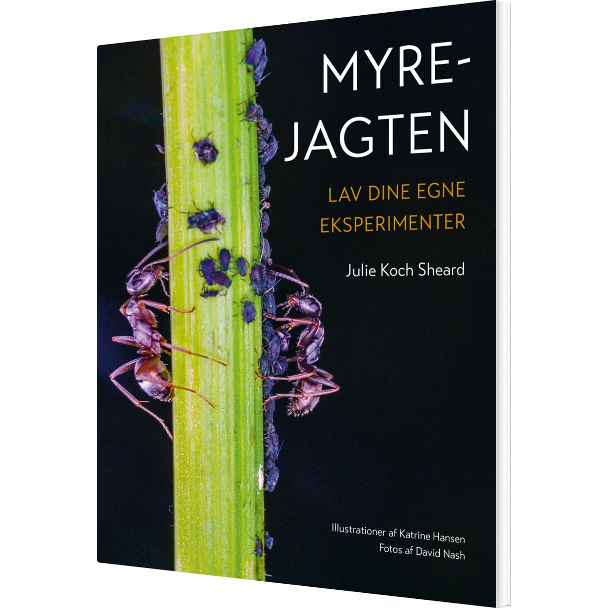 Myrejagten - Julie Koch Sheard - Bog