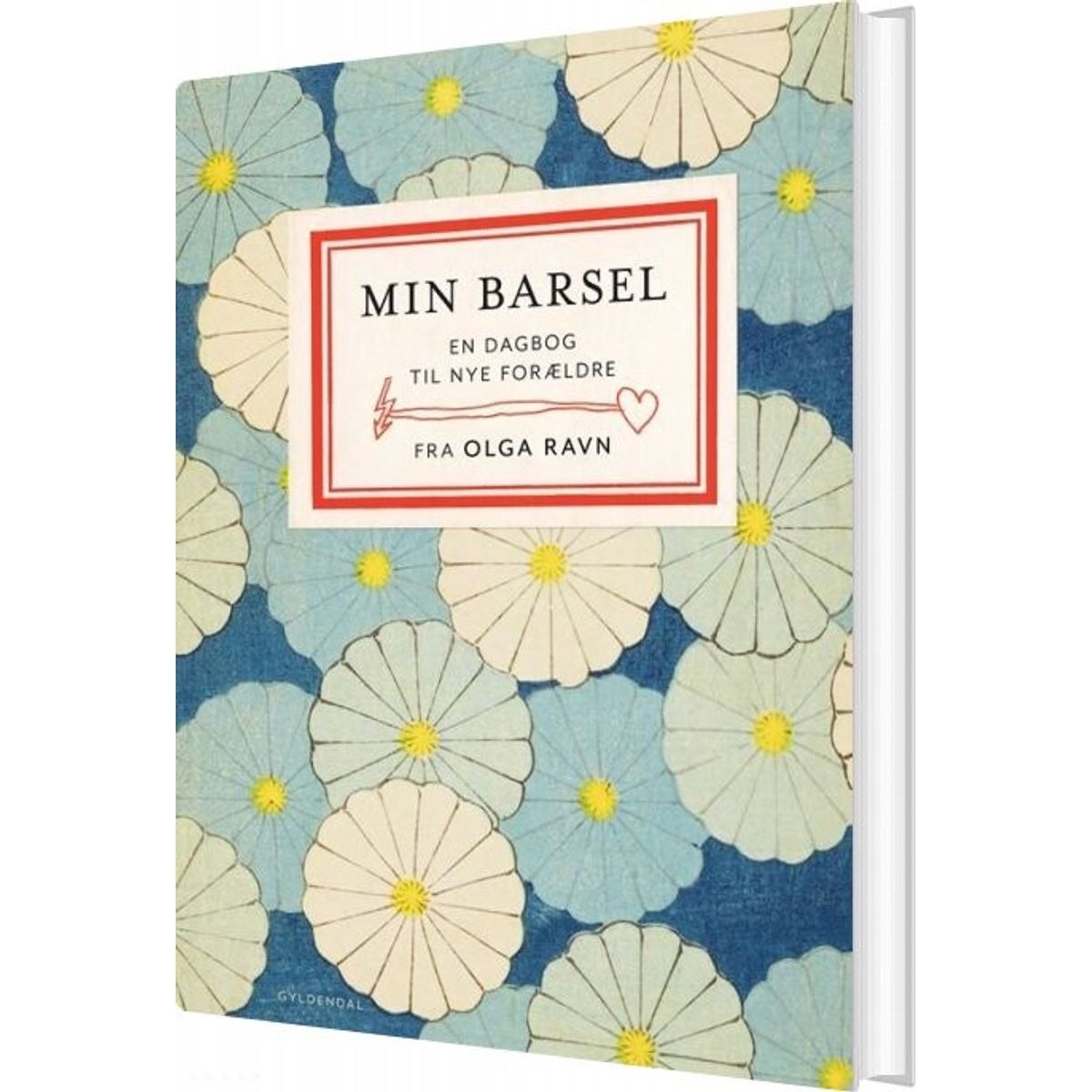 Min Barsel - Olga Ravn - Bog