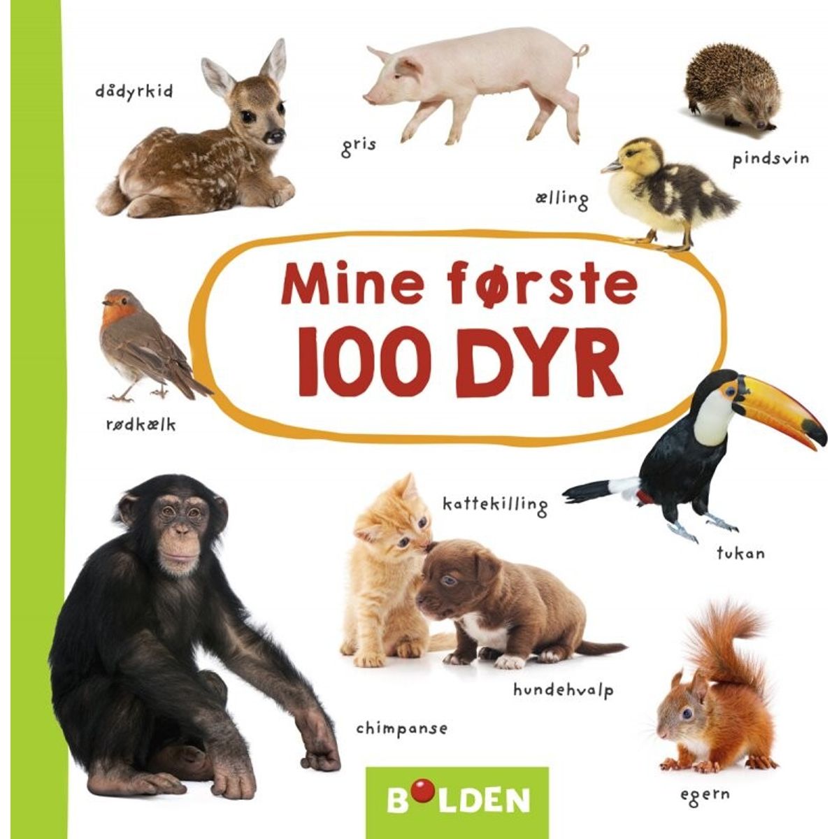 Mine Første 100 Dyr - Bog