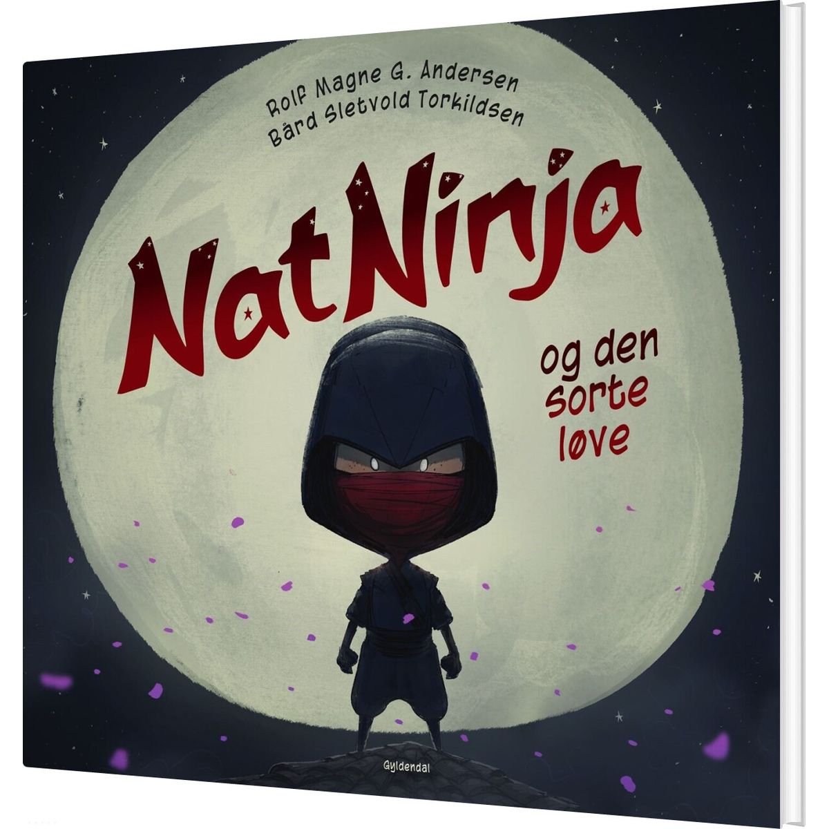 Natninja - Rolf Magne G. Andersen - Bog