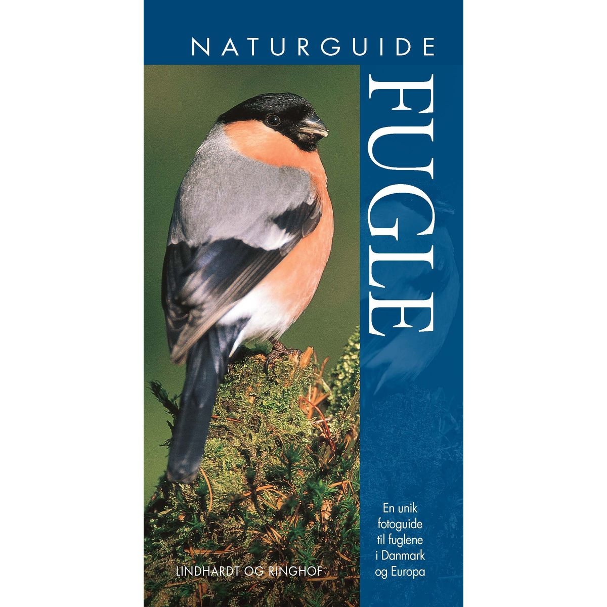 Naturguide Fugle - Jonathan Elphick - Bog