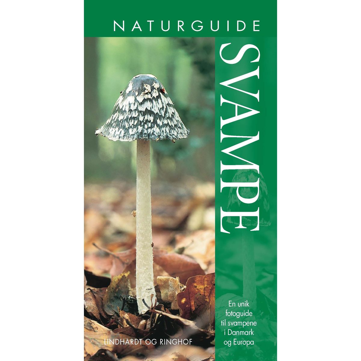 Naturguide Svampe - Shelley Evans - Bog