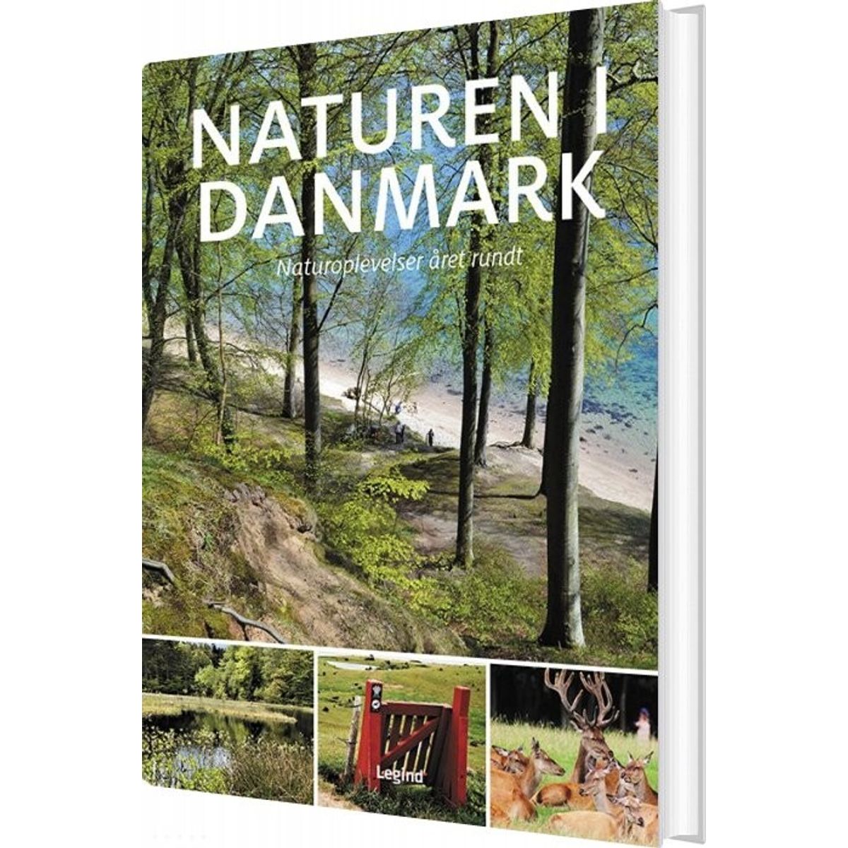 Naturen I Danmark - Søren Olsen - Bog