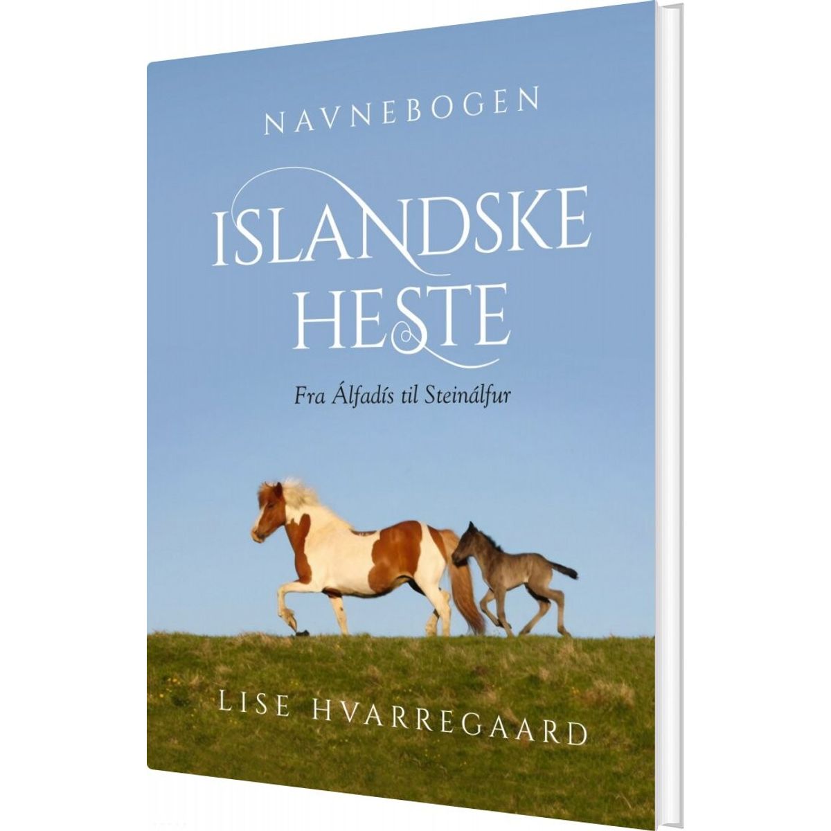 Navnebogen Islandske Heste - Lise Hvarregaard - Bog