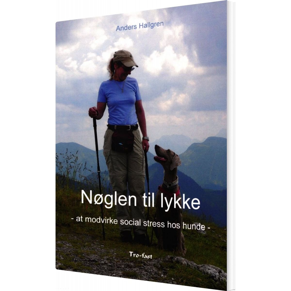 Nøglen Til Lykke - Anders Hallgren - Bog