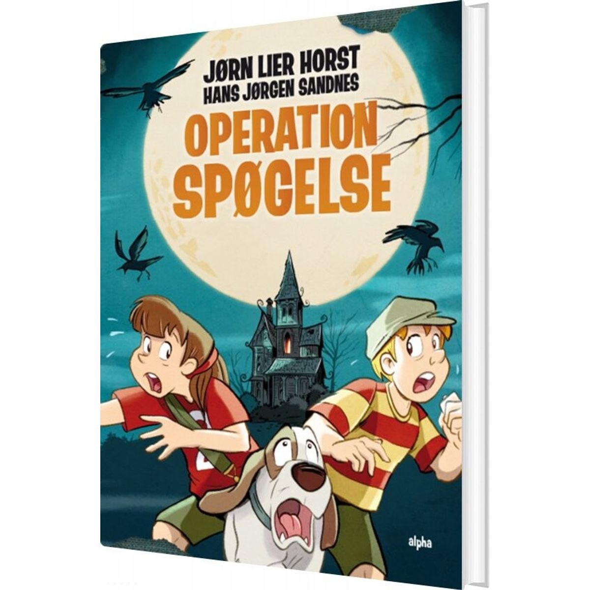 Operation Spøgelse - Jørn Lier Horst - Bog