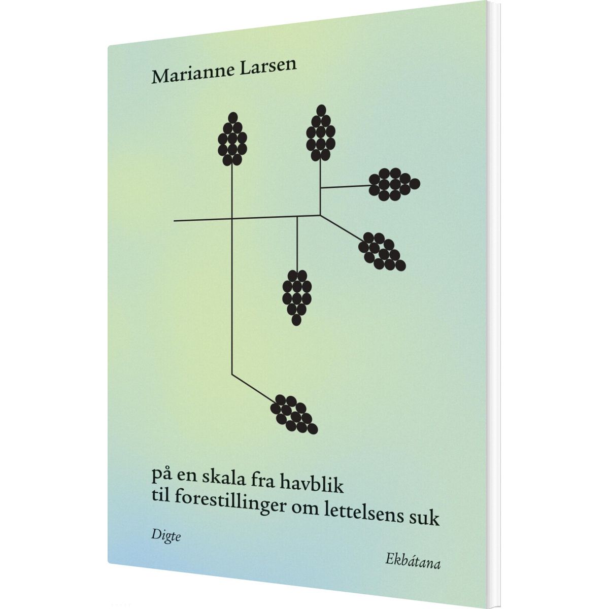 På En Skala Fra Havblik Til Forestillinger Om Lettelsens Suk - Marianne Larsen - Bog