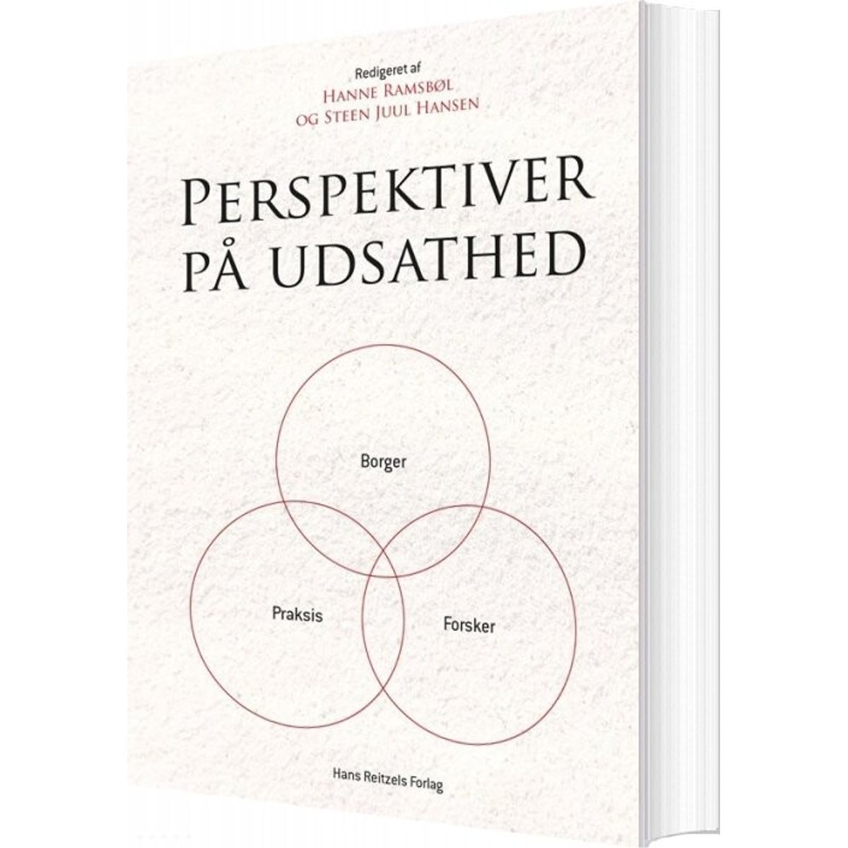 Perspektiver På Udsathed - Jan Jaap Rothuizen - Bog