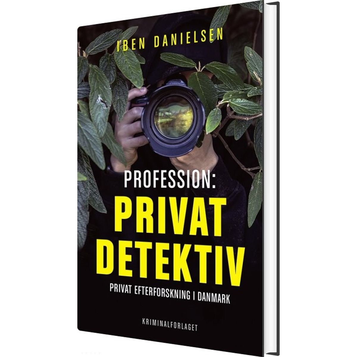 Profession: Privatdetektiv - Iben Danielsen - Bog