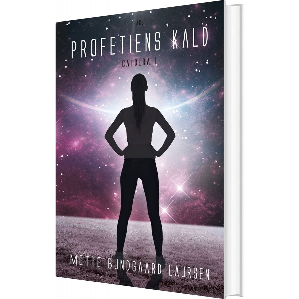 Profetiens Kald - Mette Bundgaard Laursen - Bog