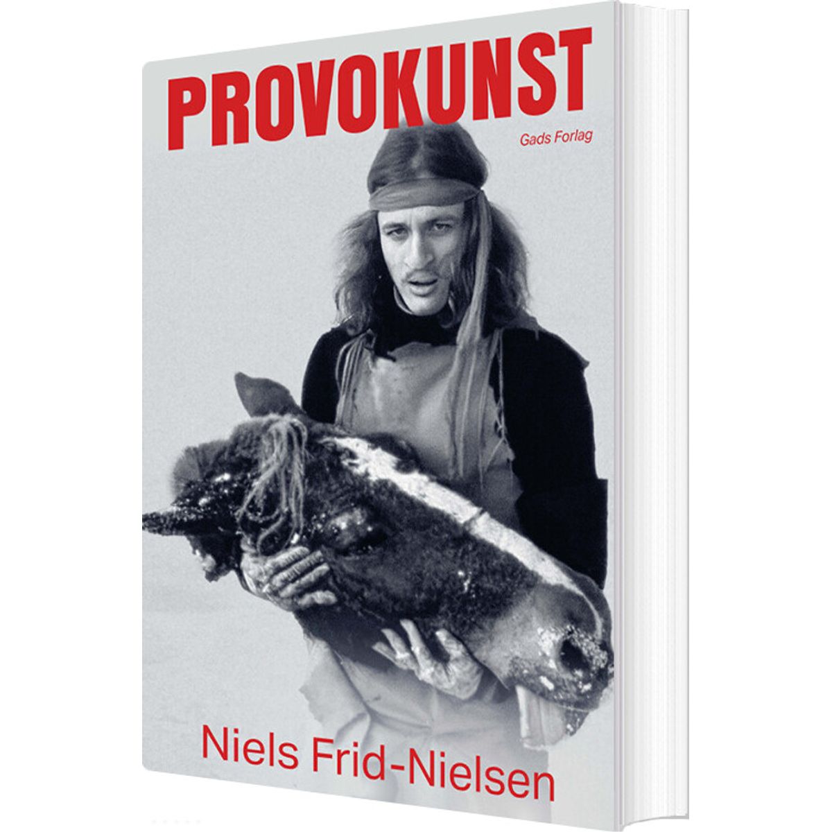 Provokunst - Niels Frid-nielsen - Bog