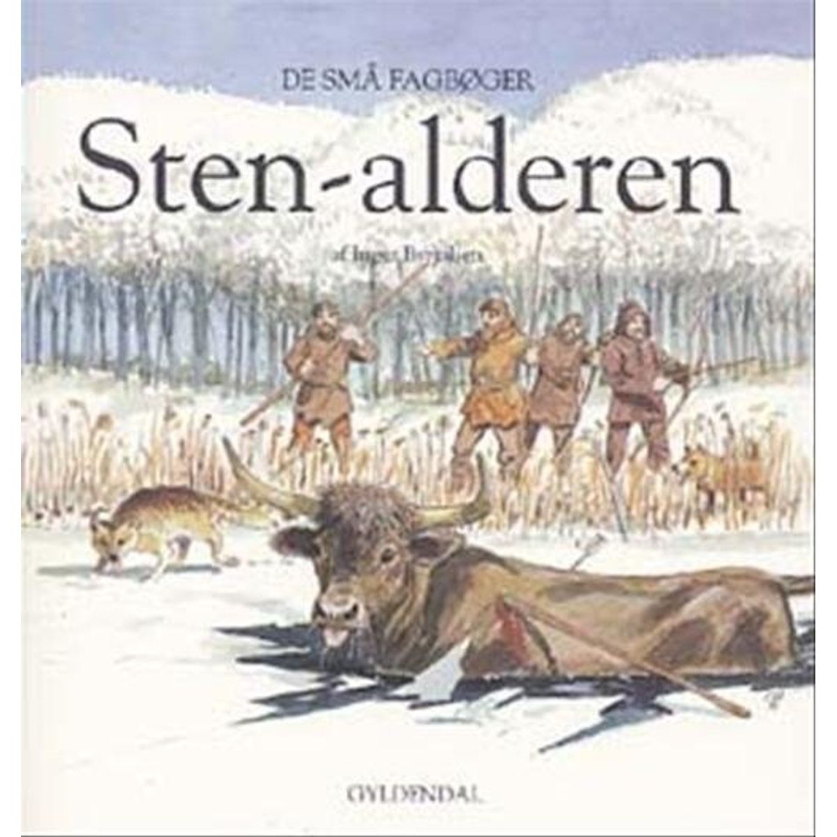 Stenalderen - Inger Byrjalsen - Bog