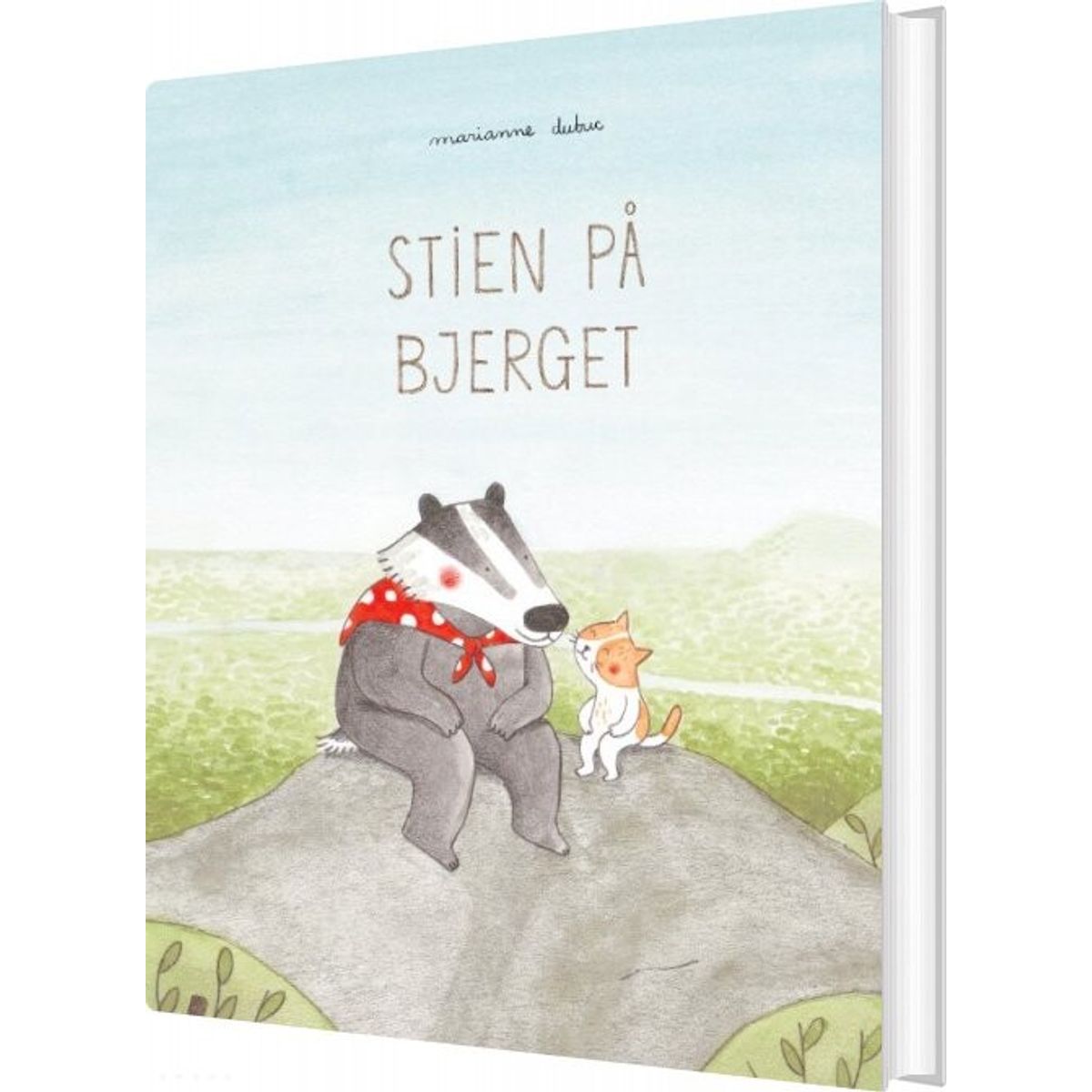 Stien På Bjerget - Marianne Dubuc - Bog