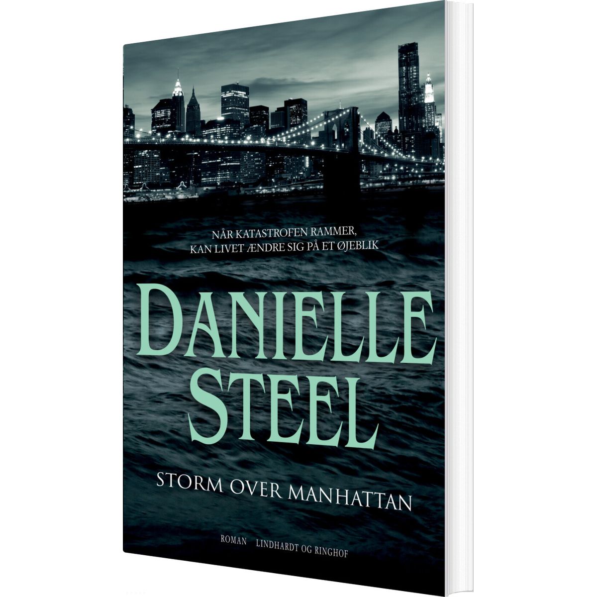 Storm Over Manhattan - Danielle Steel - Bog