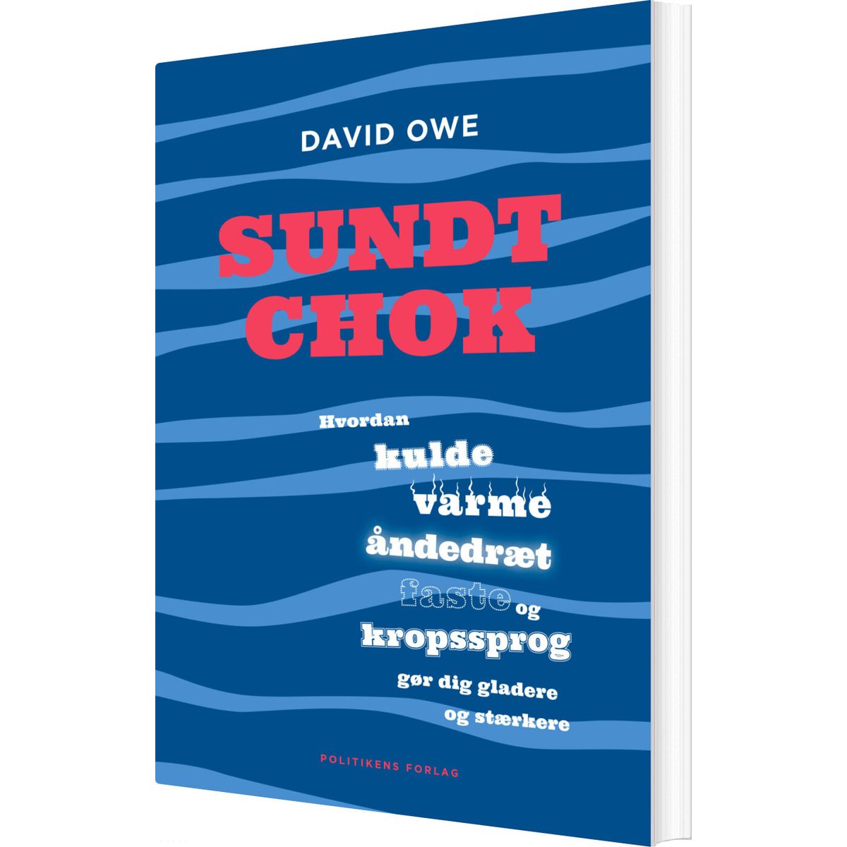 Sundt Chok - David Owe - Bog