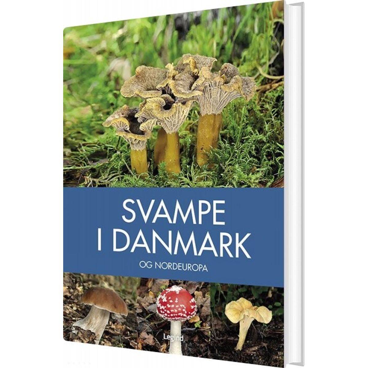 Svampe I Danmark - Josephine Bacon - Bog