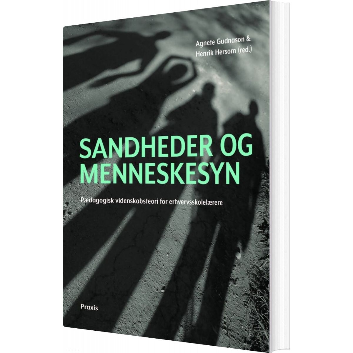 Sandheder Og Menneskesyn - Agnete Gudnason - Bog