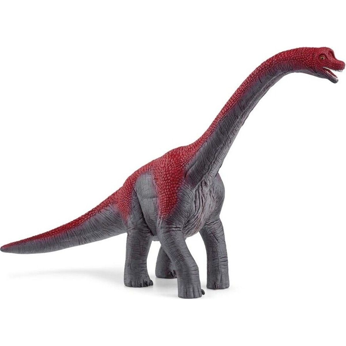 Schleich Dinosaurs - Brachiosaurus - 15044