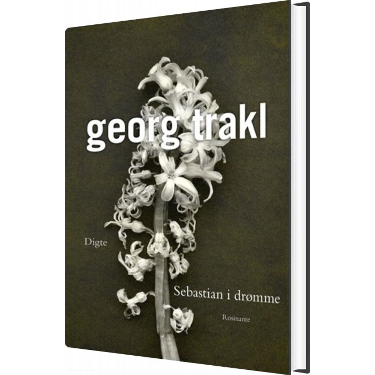 Sebastian I Drømme - Georg Trakl - Bog