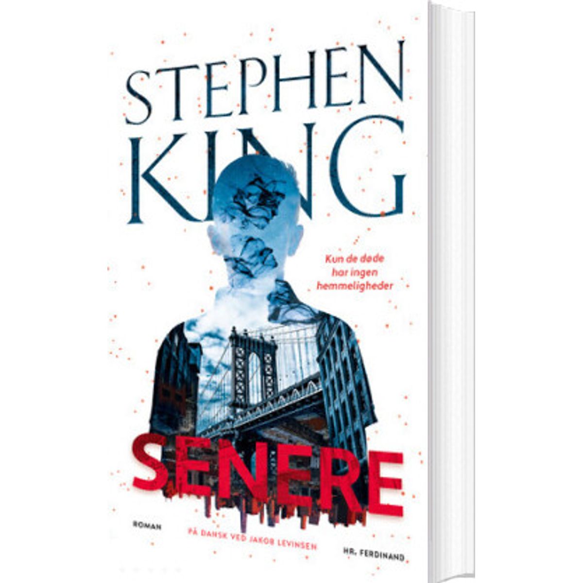 Senere - Stephen King - Bog