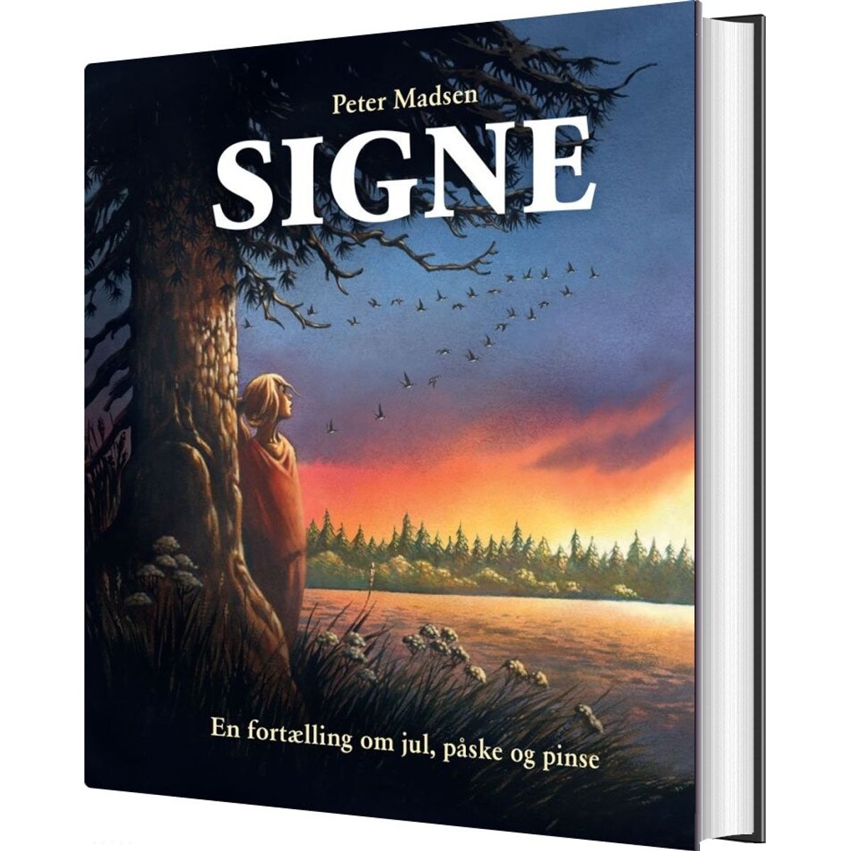 Signe - Peter Madsen - Bog