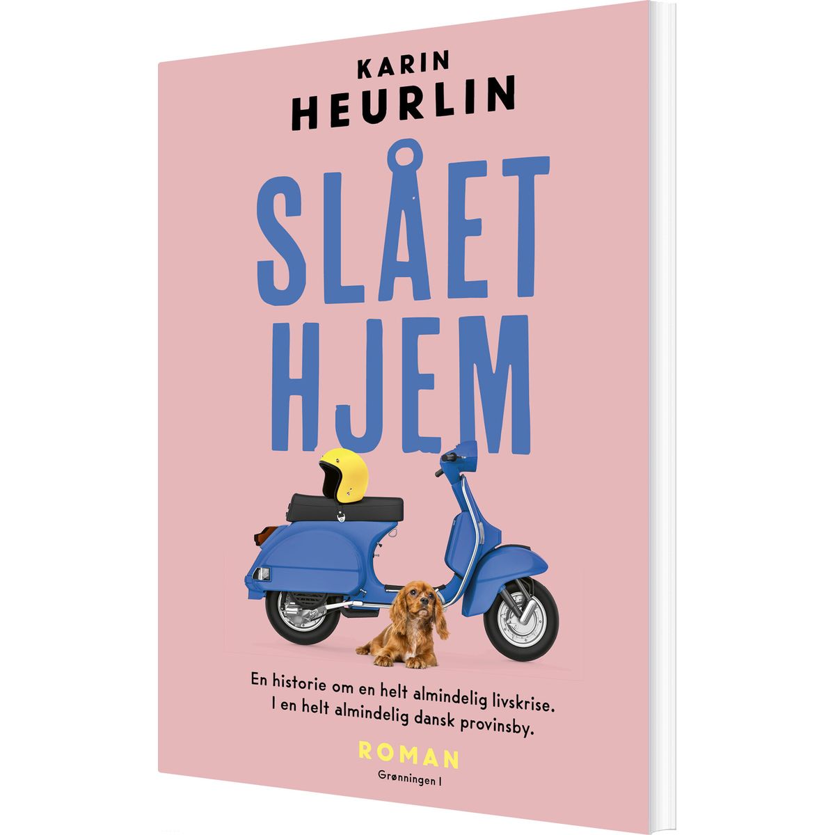 Slået Hjem - Karin Heurlin - Bog