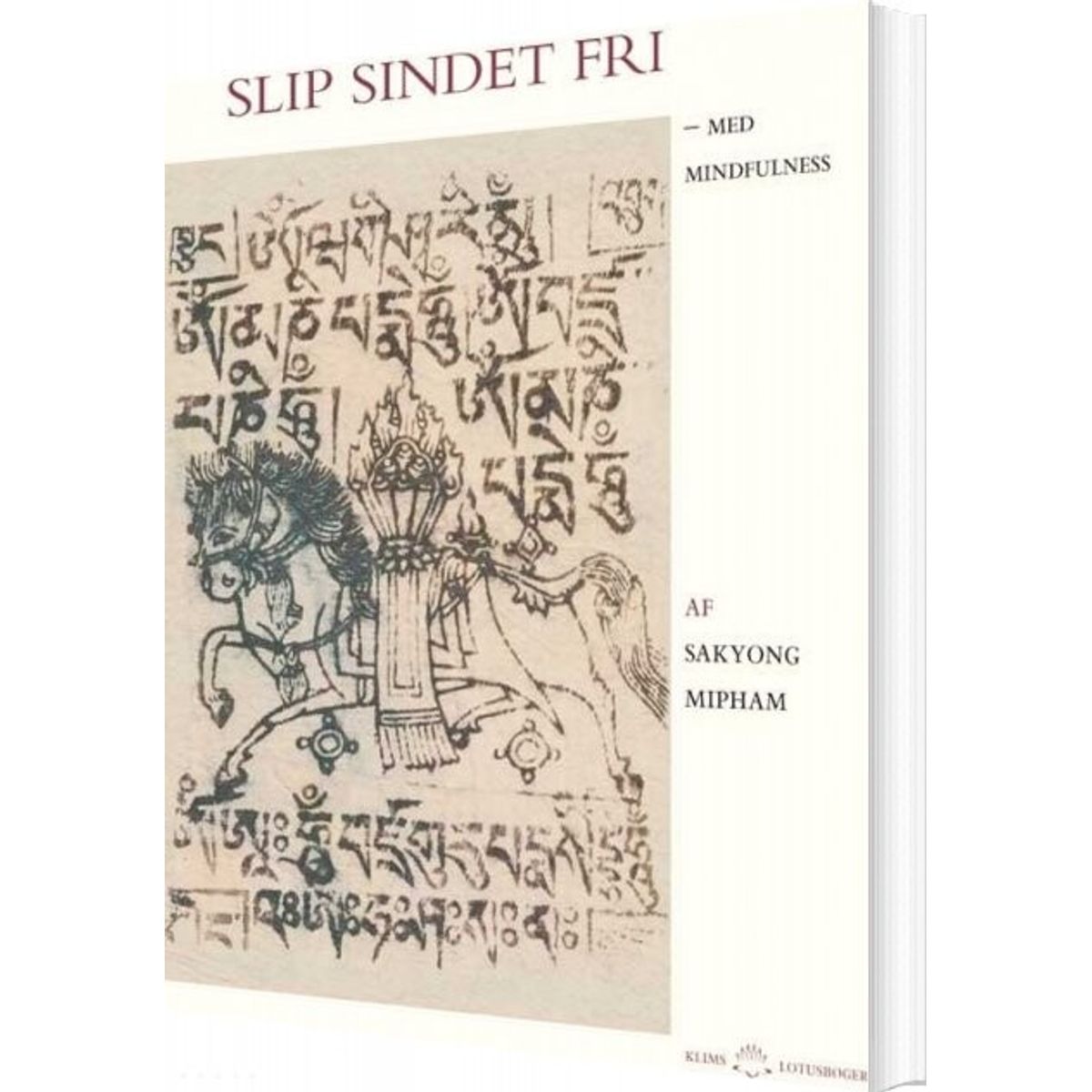 Slip Sindet Fri - Sakyong Mipham - Bog