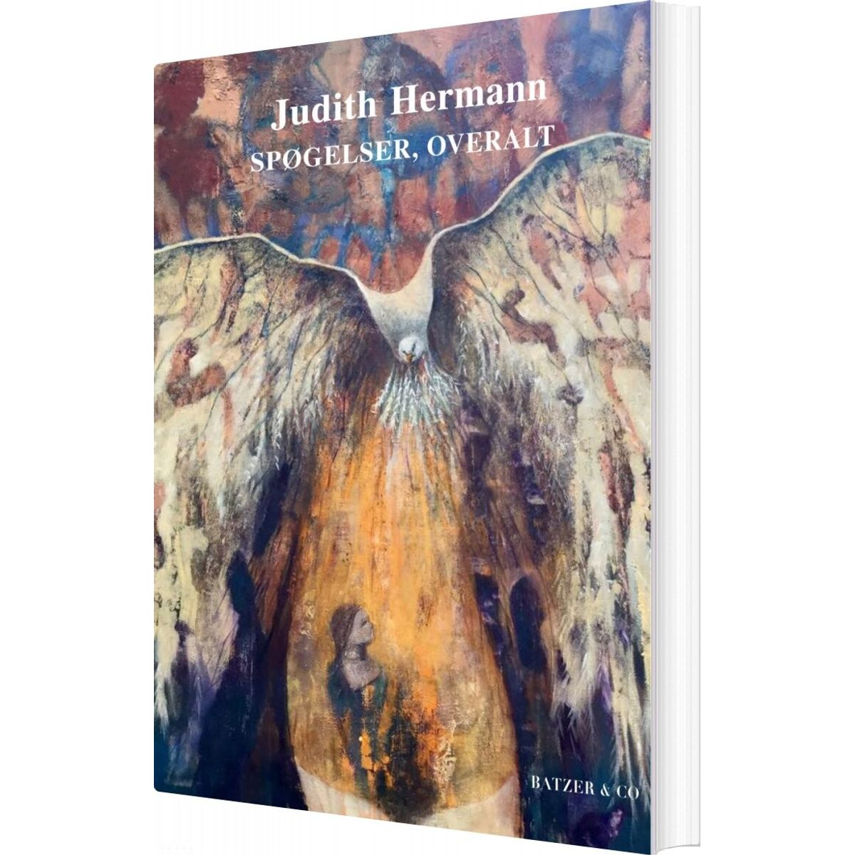 Spøgelser, Overalt - Judith Hermann - Bog