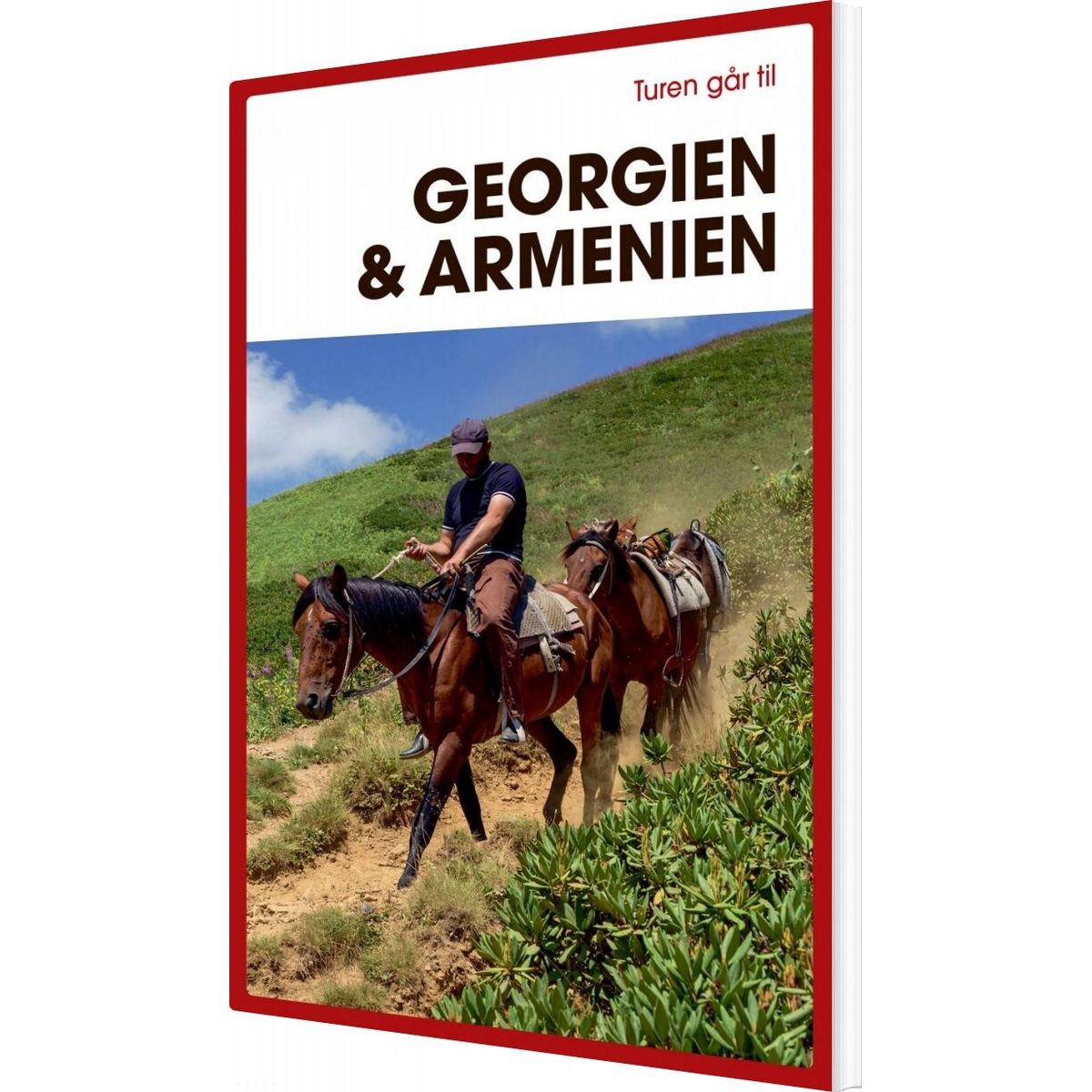 Turen Går Til Georgien & Armenien - Tom Trier - Bog