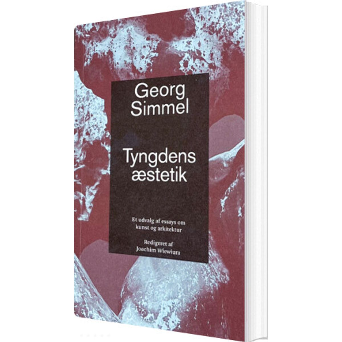 Tyngdens æstetik - Georg Simmel - Bog