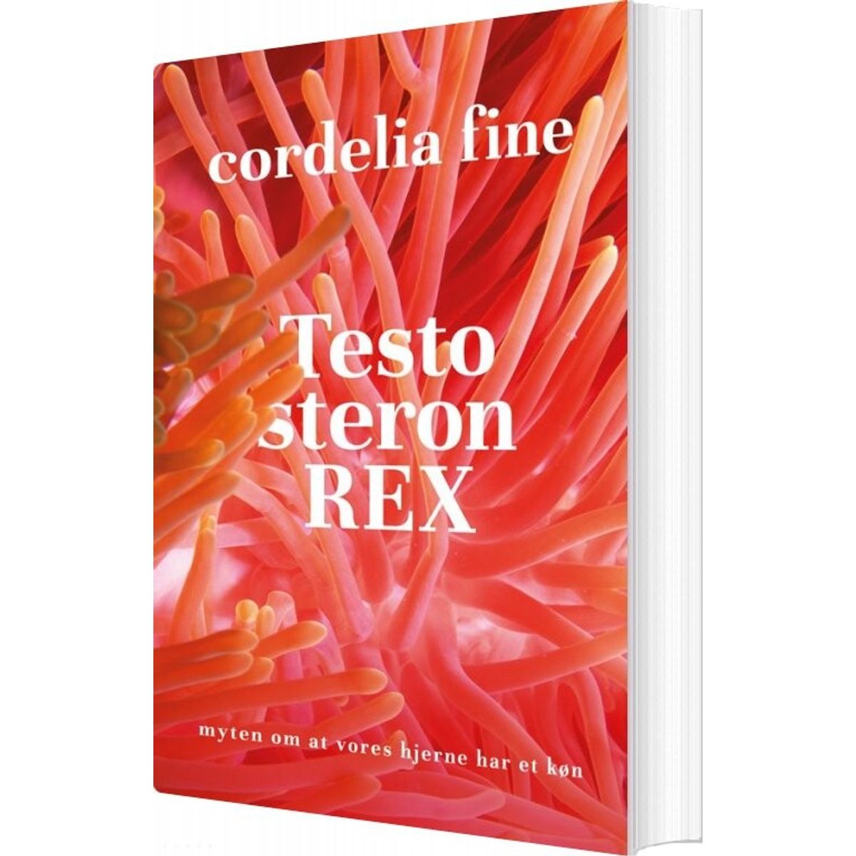 Testosteron Rex - Cordelia Fine - Bog