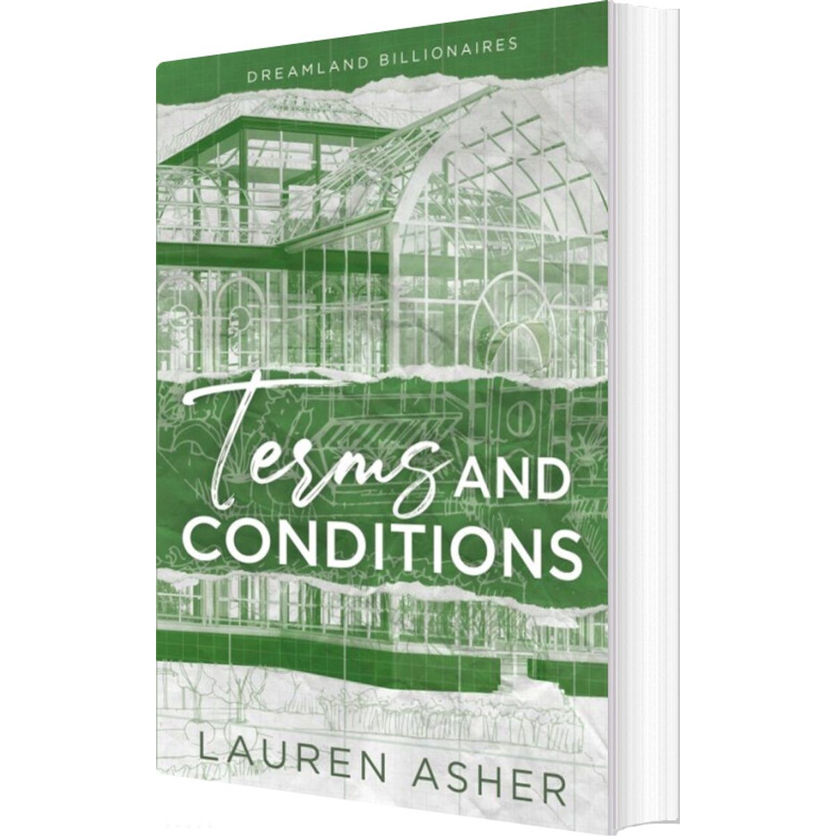 Terms And Conditions - Lauren Asher - English Book