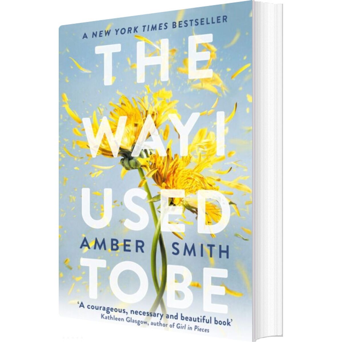 The Way I Used To Be - Amber Smith - English Book