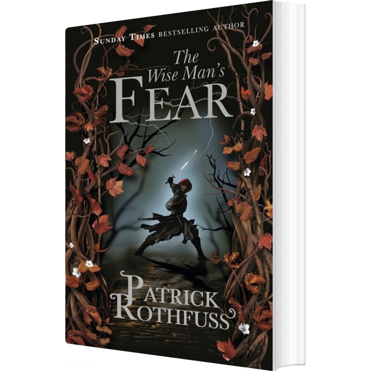 The Wise Man's Fear - Patrick Rothfuss - English Book