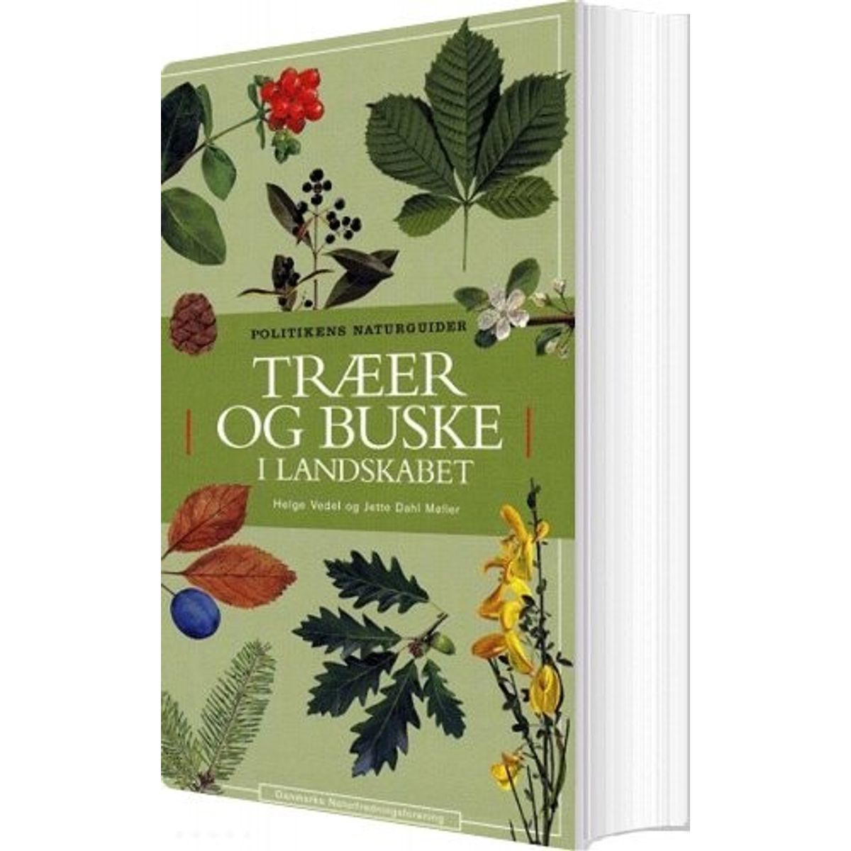 Træer Og Buske I Landskabet - Helge Vedel - Bog