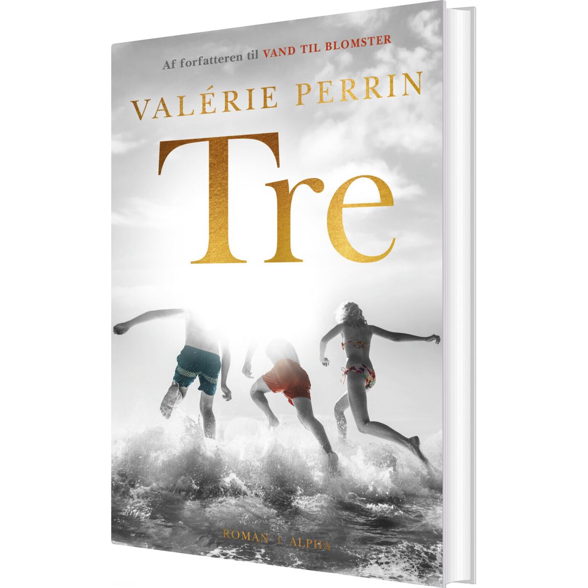 Tre - Valérie Perrin - Bog