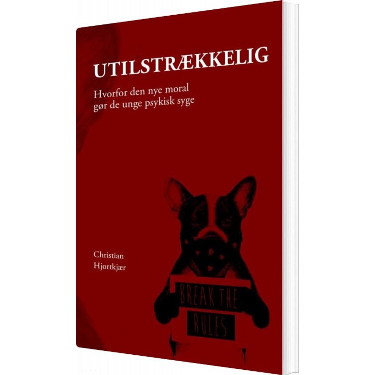 Utilstrækkelig - Christian Hjortkjær - Bog