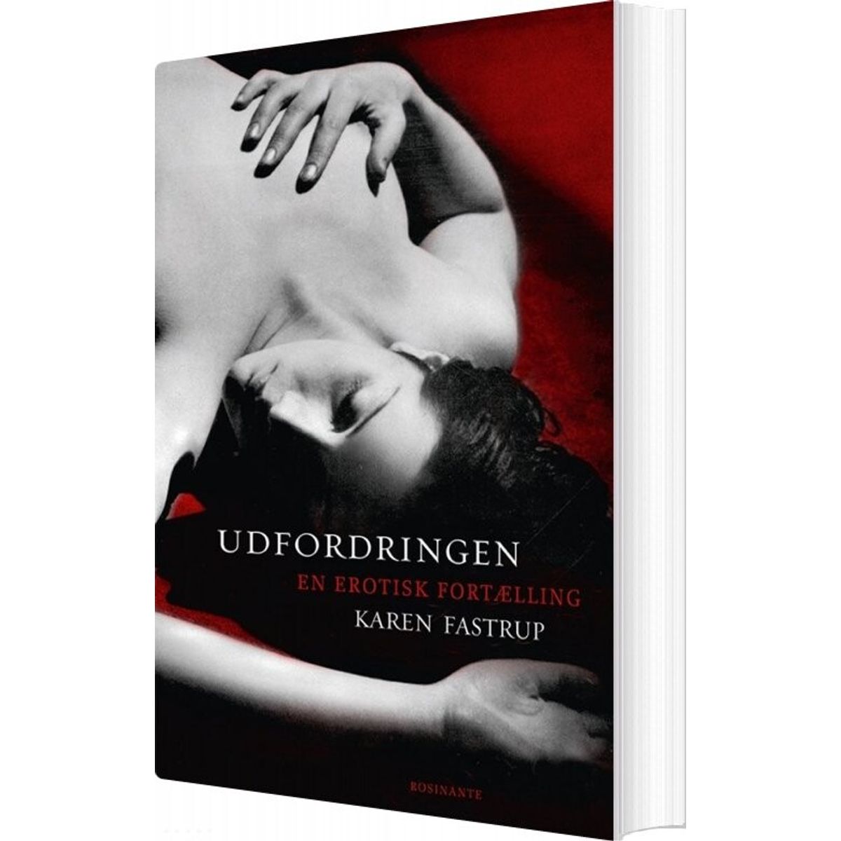 Udfordringen - Karen Fastrup - Bog