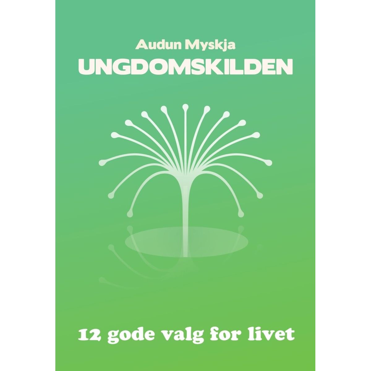 Ungdomskilden - Audun Myskja - Bog